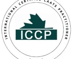 Data Analytics for Audit (ICCP)