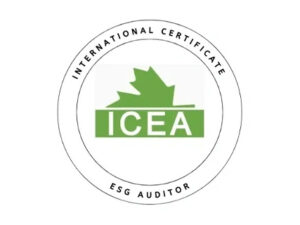 ICEA ESG Auditor.jpg
