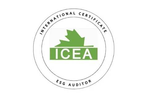 ICEA ESG Auditor.jpg