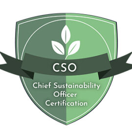 Chief Sustainability Officer Certification (CSO)