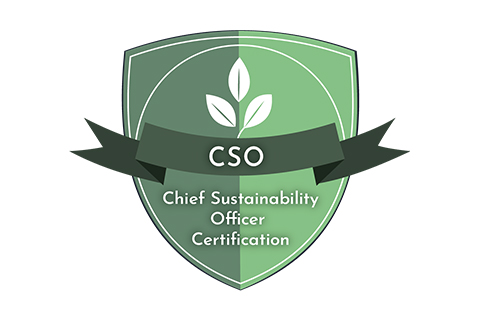 CSO Chief Sustainability Officer.jpg