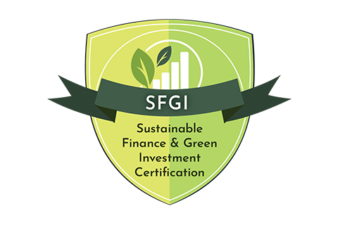 SFGI course-Image-templet.jpg