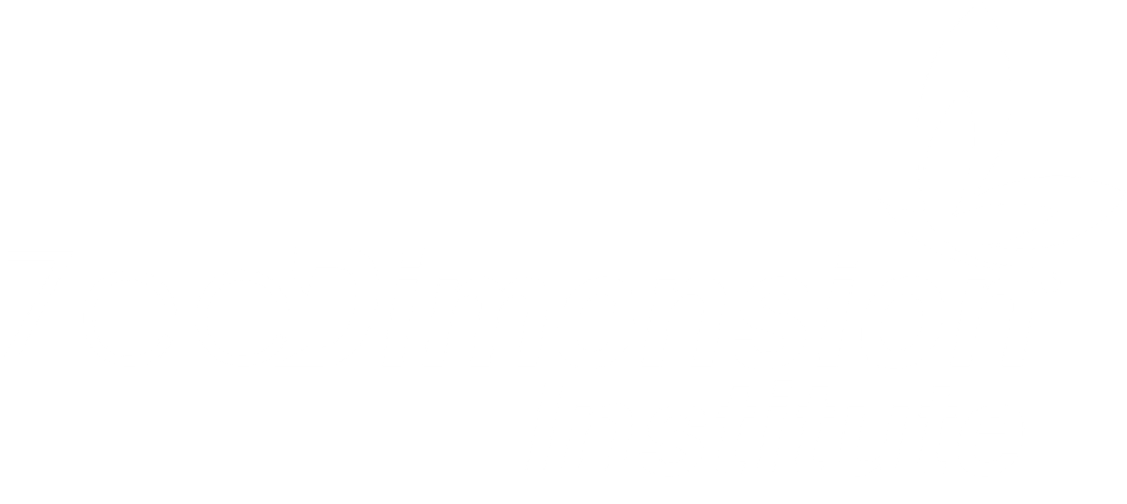 ZeeDimension Institute