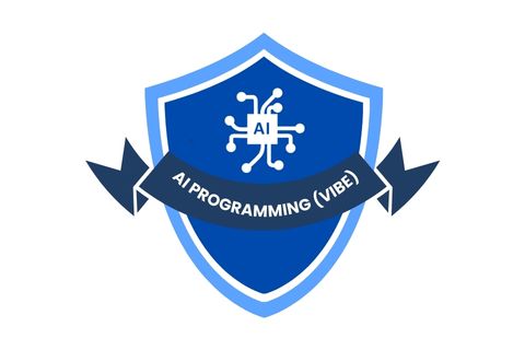 1 vibe coding.jpg
